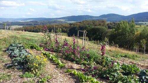 Foto - 3 Zimmer Etagenwohnung zur Miete in Schmallenberg