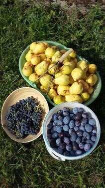 Foto - 3 Zimmer Etagenwohnung in Schmallenberg