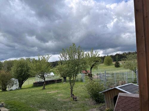 Foto - Mehrfamilienhaus, Wohnhaus in Pullenreuth zum Kaufen