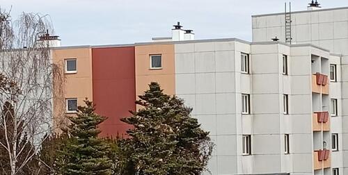 Foto - Schöne 3 Zimmer Wohnung, Hildesheim Galgenberg,