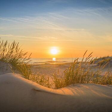 Foto - Nordsee Zeeland, Renesse - 120,00&nbsp;EUR Kaltmiete,