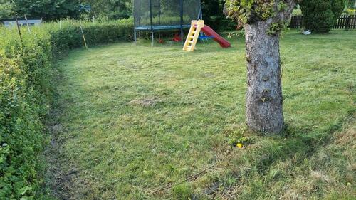 Foto - Garten 1800 € - 1.800,00&nbsp;EUR Kaltmiete, ca.&nbsp; 0,00&nbsp;m&sup2;