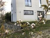 Foto - 10 Zimmer Einfamilienhaus zum Kaufen in Harsefeld