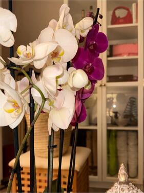 Foto - andere in Frankfurt am Main