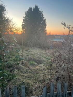 Foto - Grundst&uuml;ck zur Miete in Plauen