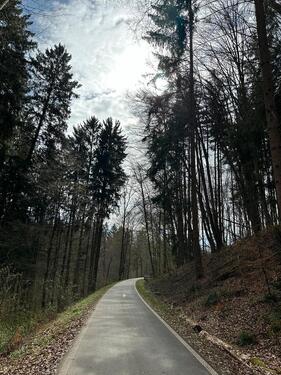 Foto - 4- Zimmerwohnung zu vermieten (Leinfelden-Echterdingen)