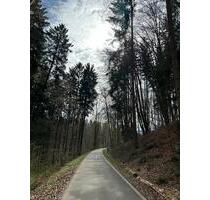 4- Zimmerwohnung zu vermieten (Leinfelden-Echterdingen)