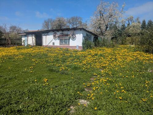Foto - Einfamilienhaus in Bad Berka zum Kaufen
