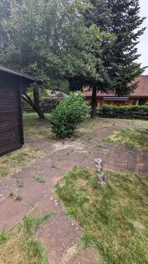 Foto - Einfamilienhaus in Schwarmstedt zum Kaufen