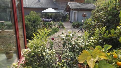 Foto - Einfamilienhaus in Höchenschwand zum Kaufen