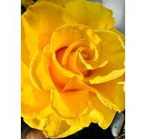 TG Stellplatz in top NW City Lage langfristig zu vermieten !!! - Neustadt an der Weinstraße