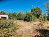 Foto - andere in Mühlhausen (Thüringen) zur Miete