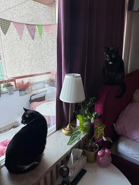 Foto - 1 Zimmer Etagenwohnung in Berlin