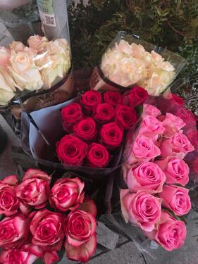 Foto - Wohnung zu vermieten - 750,00&nbsp;EUR Kaltmiete, ca.&nbsp; 50,00&nbsp;m&sup2;