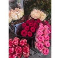 Wohnung zu vermieten - 750,00&nbsp;EUR Kaltmiete, ca.&nbsp; 50,00&nbsp;m&sup2; in Hannover (PLZ: 30159)