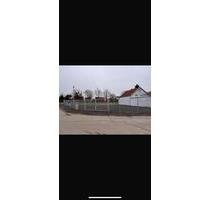 StellplatzLagerplatz - 1.000,00 EUR Miete, in Biblis (PLZ: 68647)