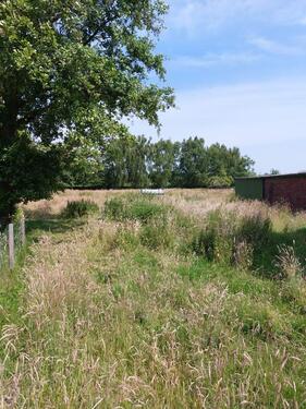 Foto - Baugrundstück voll erschlossen, ohne Provision!