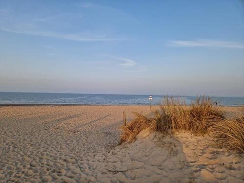 Foto - andere in Wangerland zur Miete