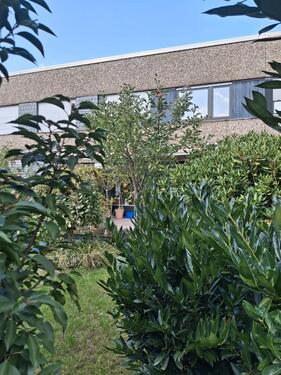 Foto - Reihenhaus in Großenbaum - 399.000,00&nbsp;EUR Kaufpreis, ca.&nbsp; 122,00&nbsp;m&sup2;