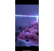 Möbliertes WG Zimmer in Mädchen WG - Siegen Dillnhütten