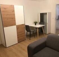 Möblierte Souterrain-Wohnung mit 1 ZKB und Stellplatz - Unterschneidheim