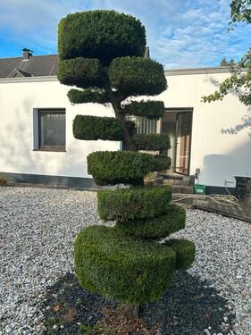 Foto - PraxisBüroräume zu vermieten - 950,00&nbsp;EUR Kaltmiete, ca.&nbsp; 10,00&nbsp;m&sup2;