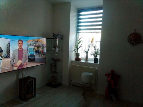 Foto - 2raumwohnung Pouch Muldestausee