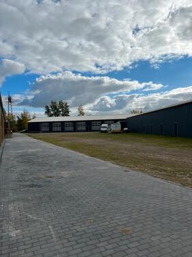 Foto - andere in Brandenburg an der Havel zur Miete
