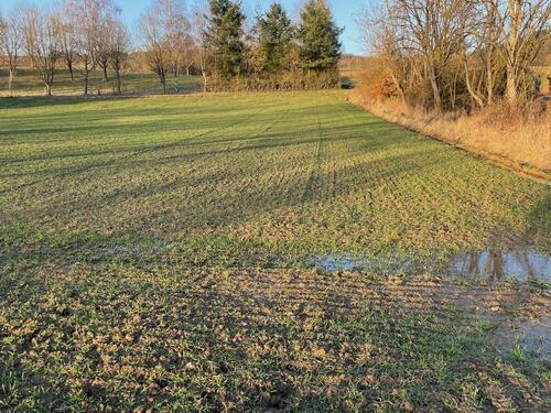 Foto - Grundst&uuml;ck zur Miete in Ehringshausen