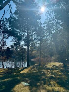 Foto - Bungalow in Plötzky, am Grünen See, privater Seezugang- traumhaft