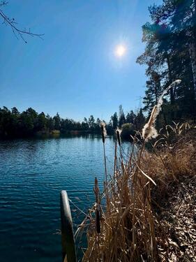 Foto - 3 Zimmer Bungalow zum Kaufen in Magdeburg