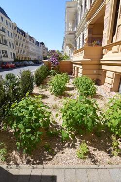 Foto - Etagenwohnung in Görlitz zur Miete