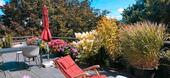 Foto - Top Penthouse in den Baumwipfeln von Privat