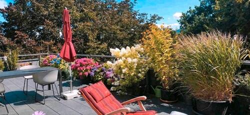 Foto - Top Penthouse in den Baumwipfeln von Privat