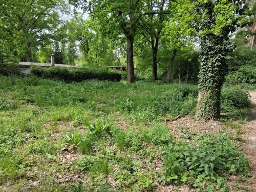 Foto - Verkaufe unbebautes Grundstück im Naherholungsgebiet Dannigkow