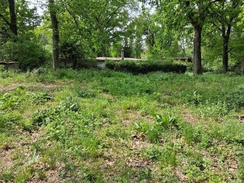 Foto - Einfamilienhaus in Gommern