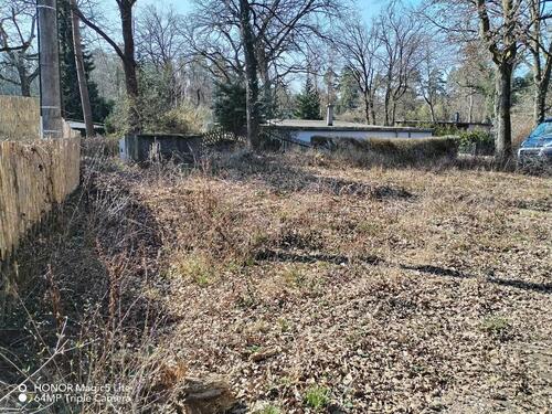 Foto - Einfamilienhaus in Gommern zum Kaufen