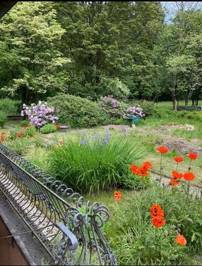 Foto - Einfamilienhaus in Schuld