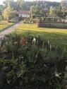 Foto - Grundst&uuml;ck in Wolfsburg zur Miete
