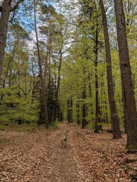 Foto - Haus in der Natur - 200.000,00&nbsp;EUR Kaufpreis, ca.&nbsp; 120,00&nbsp;m&sup2;