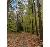 Haus in der Natur - 200.000,00&nbsp;EUR Kaufpreis, ca.&nbsp; 120,00&nbsp;m&sup2; in Echternacherbrück (PLZ: 54668)