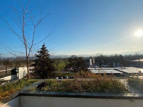Foto - 4 Zimmer Einfamilienhaus in Rheinfelden (Baden)
