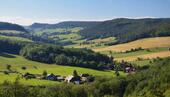 Foto - 1.000 m² Baugrundstück in Sophienthal ohne Bauzwang