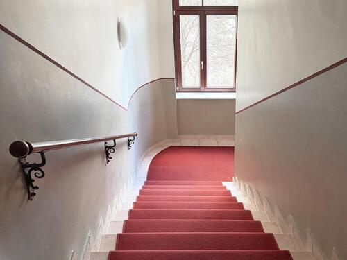 Foto - Etagenwohnung in Dresden zur Miete