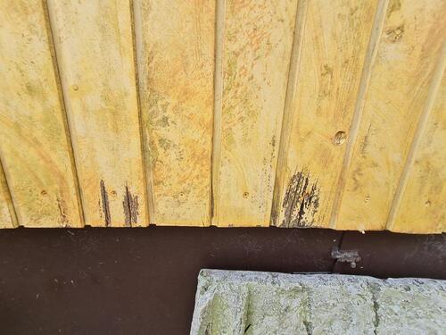 Foto - Einfamilienhaus in Grube zum Kaufen