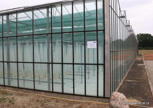 Foto - Gewächshausflächen Ahlhorn Regente Großenkneten