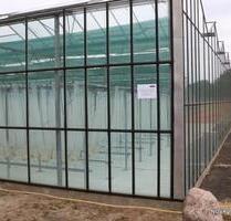 Gewächshausflächen Ahlhorn Regente Großenkneten