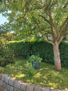 Foto - Grundst&uuml;ck in Crimmitschau zur Miete