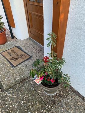 Foto - Doppelhaushälfte in Hofheim am Taunus zum Kaufen