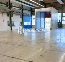 Lager- und Produktionshalle mit ca. 875 m² – ausgestattet mit Rolltor und separater Schleuse - Geisingen